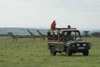 Richard's River Camp: Game Drive
