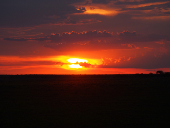 Tau Pan Camp Tau Pan Camp: Lichtspiele
