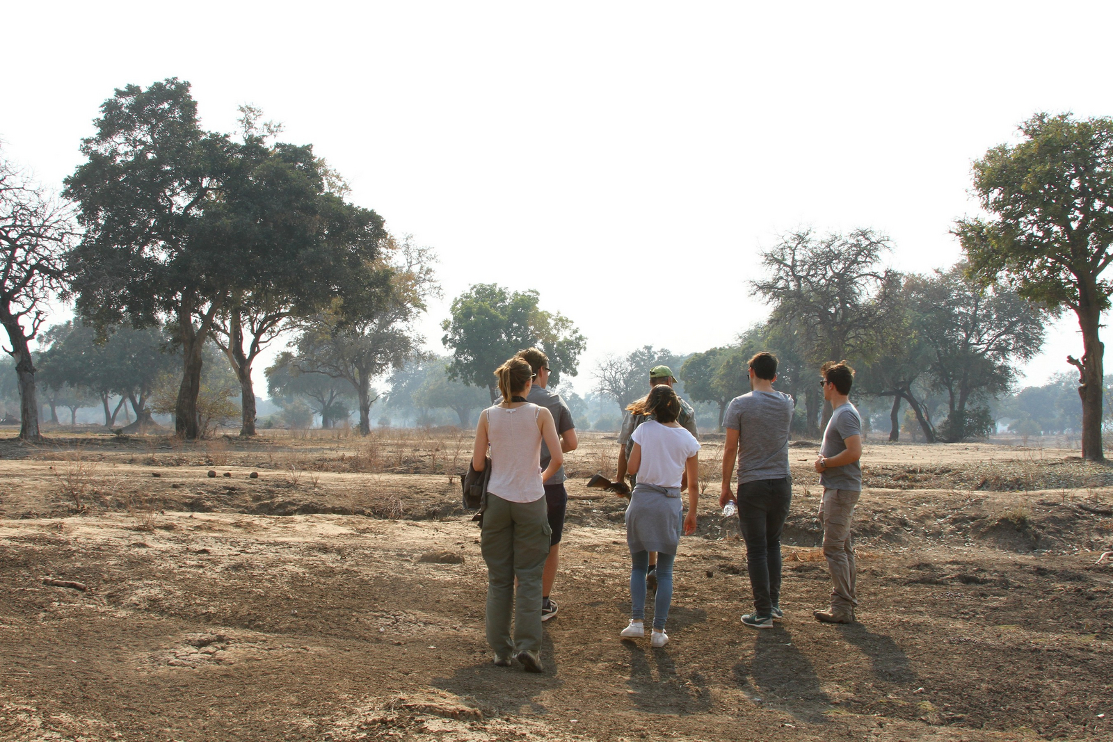 Camp Mana Camp Mana: Gruppe