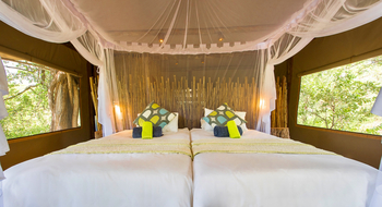 Leopard Plains: Doppelbett und Kissen