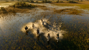 Macatoo Camp: Water Canter