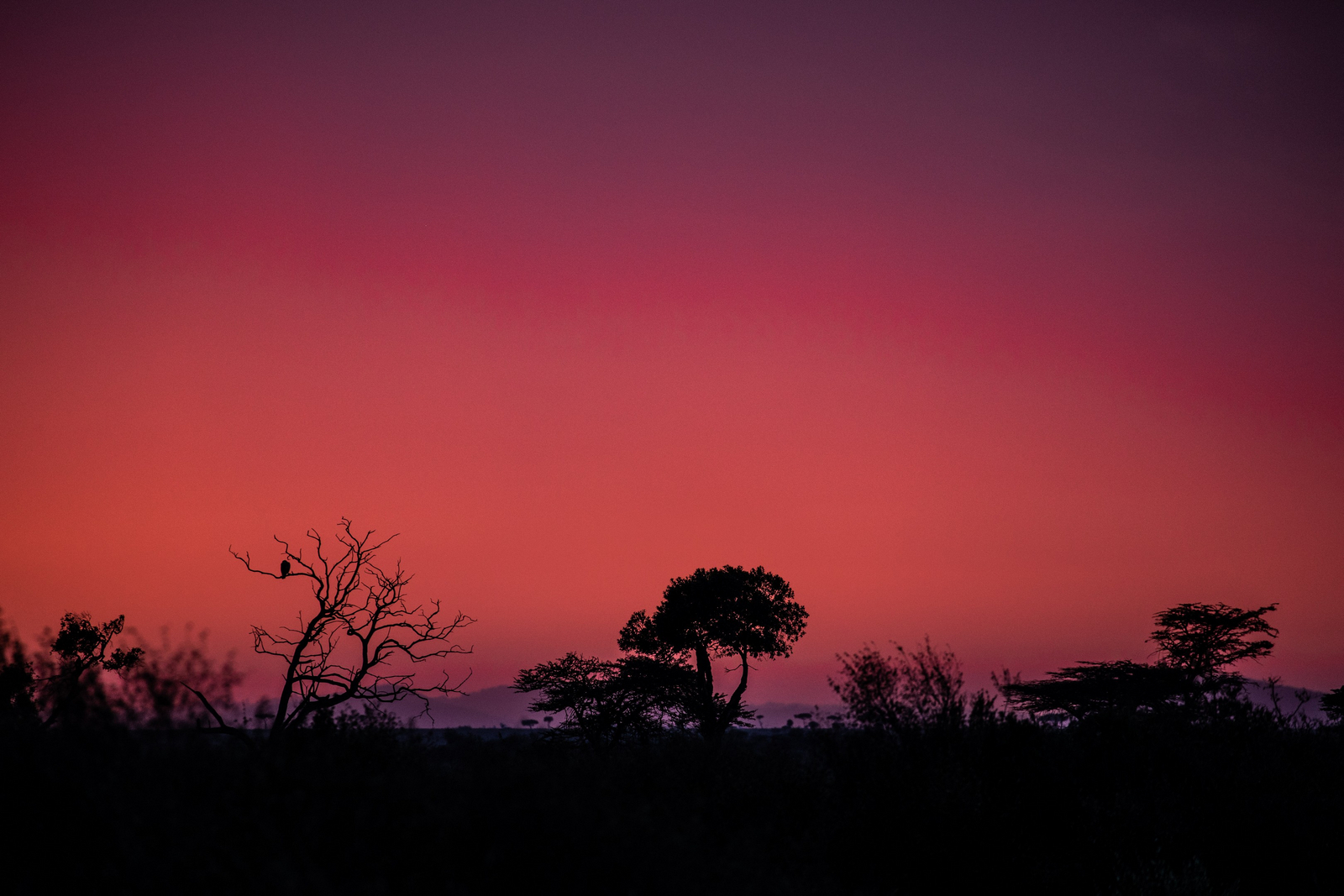 Mahali Mzuri Mahali Mzuri: Landschaft