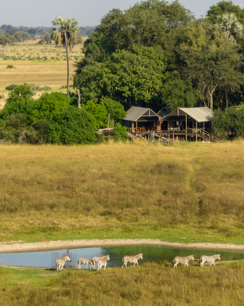Mokolwane Camp: Zebras am Wasserloch