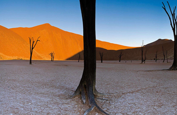 Namib Desert Lodge: Sossusvlei