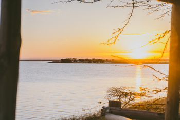 Nata Lodge Nata Lodge: Geflutete Landschaft
