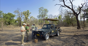 Pench Tree Lodge Pench Tree Lodge: Kaffee im Busch