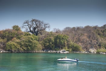 Pumulani Lodge: Baobab am Ufer
