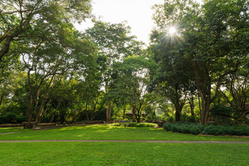 Rivertrees Country Inn: Exterior