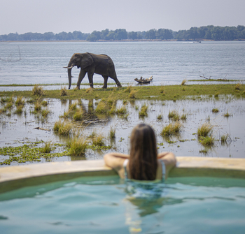 Royal Zambezi Lodge: Pool und Elefant