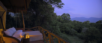 Sarara Tree: Sleep-out