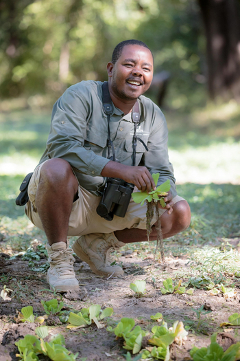 Time + Tide South Luangwa Time + Tide South Luangwa: Walking Safari