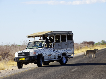 Etosha Safari Camp: Game Drive