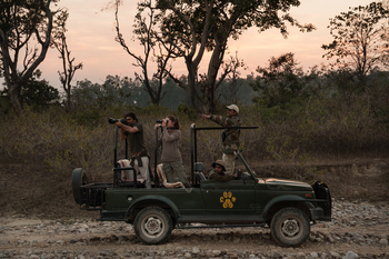 Jim's Jungle Retreat: Jungle Safari