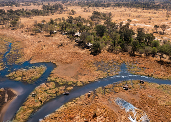 Khwai Lediba Camp: Elefanten vor dem Camp