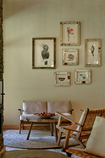 Koroi Forest Camp: Bilderwand