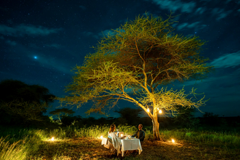 Lemala Nanyukie Lodge: Private Dinner