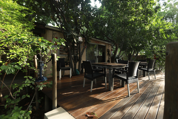 Maun Waterfront Guesthouse: Deck