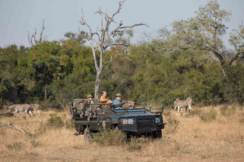 Notten's Bush Camp: Gäste beobachten Zebras vom Pirschfahrzeug