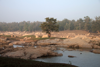 Pench Jungle Camp: Felsiges Flussufer