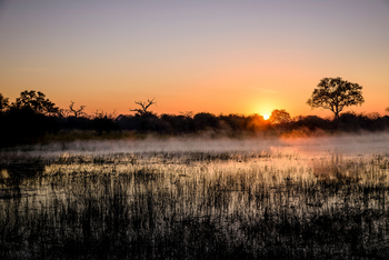Sanctuary Chief's Camp Sanctuary Chief's Camp: Sonnenuntergang