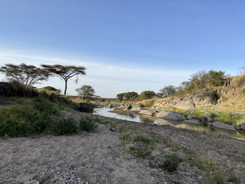 Wayo Little Green Camp: Restwasser in der Trockenzeit