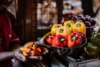 Xanadu Villas: Paprika