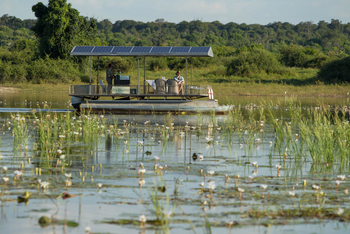 Chobe Game Lodge: Bootsafari - Zwischen Seerosen