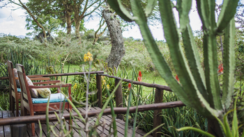 Hatari Lodge: Honeymoon Terrace