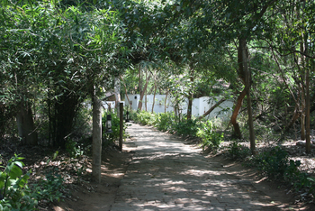 Ken River Lodge: Weg durch das Lodgegelände