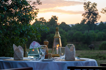Little Governors' Camp Little Governors' Camp: Bush Dinner