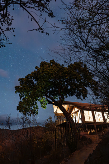 Mkomazi Wilderness Retreat: Strahlendes Zelt unter sternklarer Nacht