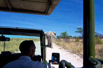 Mokuti Etosha Lodge: Game Drive