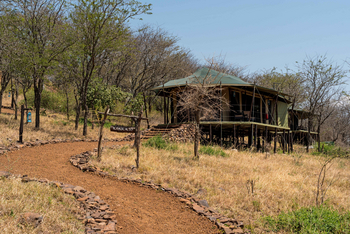 Ole Serai Camp Moru Kopjes: Weg zum Gästezelt