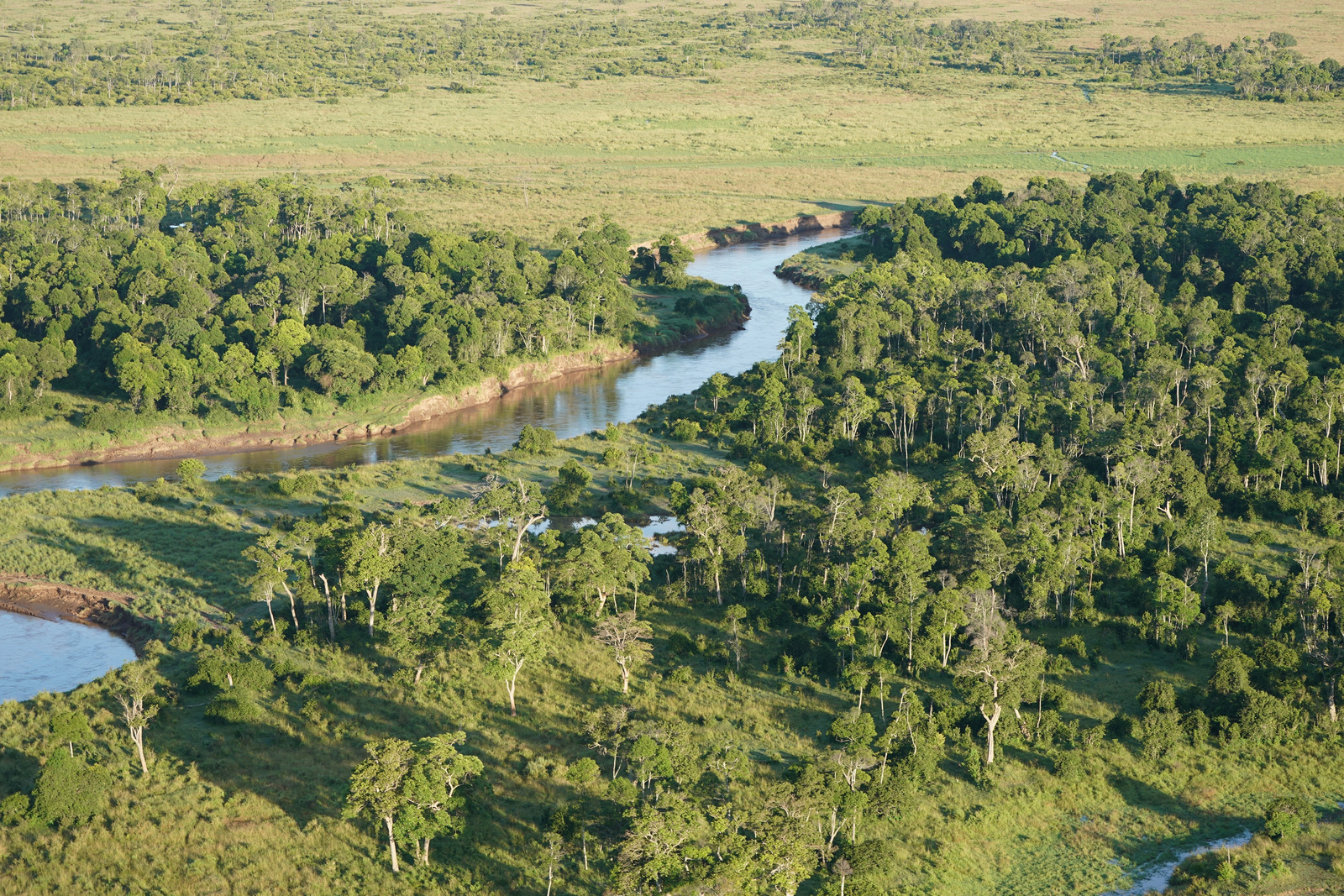 Saruni Mara Camp Saruni Mara Camp: Mara River