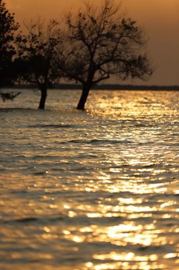 Sussurro: Sonnenuntergang