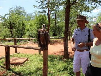 The Elephant Camp: Geier und Menschen