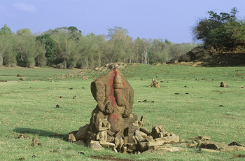 Nagarhole National Park: Zerfallene Skulptur