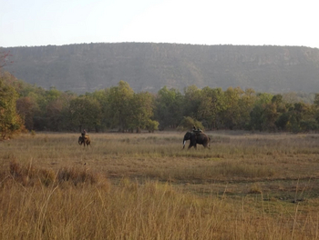 Emerald Tiger Retreat: Safari auf Elefantenrücken