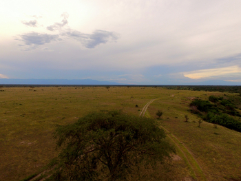Enjojo Lodge: Piste durch den Ishasha-Sektor