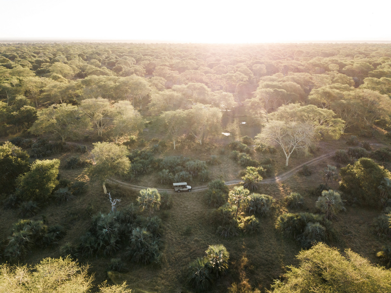 Gorongosa Safaris Gorongosa Safaris: Game Drive