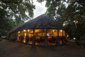 Island Safari Lodge: Bar