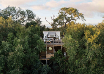 Lion Sands Tinveleti Treehouse: Himmelbett auf Baumdeck mit Vorhängen