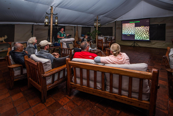 Little Governors' Camp: Cheetah Project