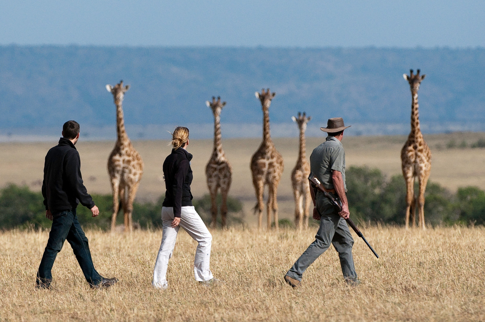 Mara Plains Camp Mara Plains Camp: Walking Safari und Giraffen
