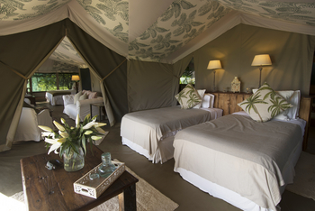 Richard's River Camp: Family Tent