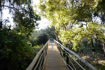 Setari Camp: Steg zu den Zelten