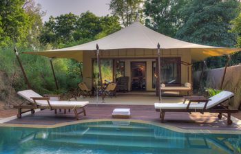 Sujan Sher Bagh: Royal Sher Suite - Pool mit Liegestühlen