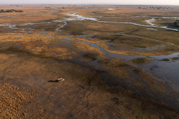 Chisa Busanga Camp Chisa Busanga Camp: Luftbild der Sümpfe