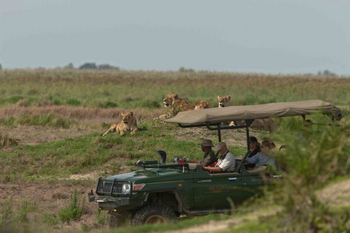 Duba Plains Camp: Rastendes Rudel
