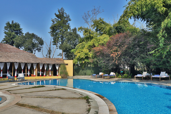 Jim's Jungle Retreat: Swimming Pool